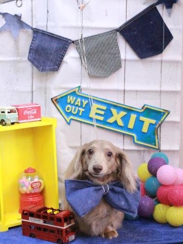 20230421ぺこちゃん